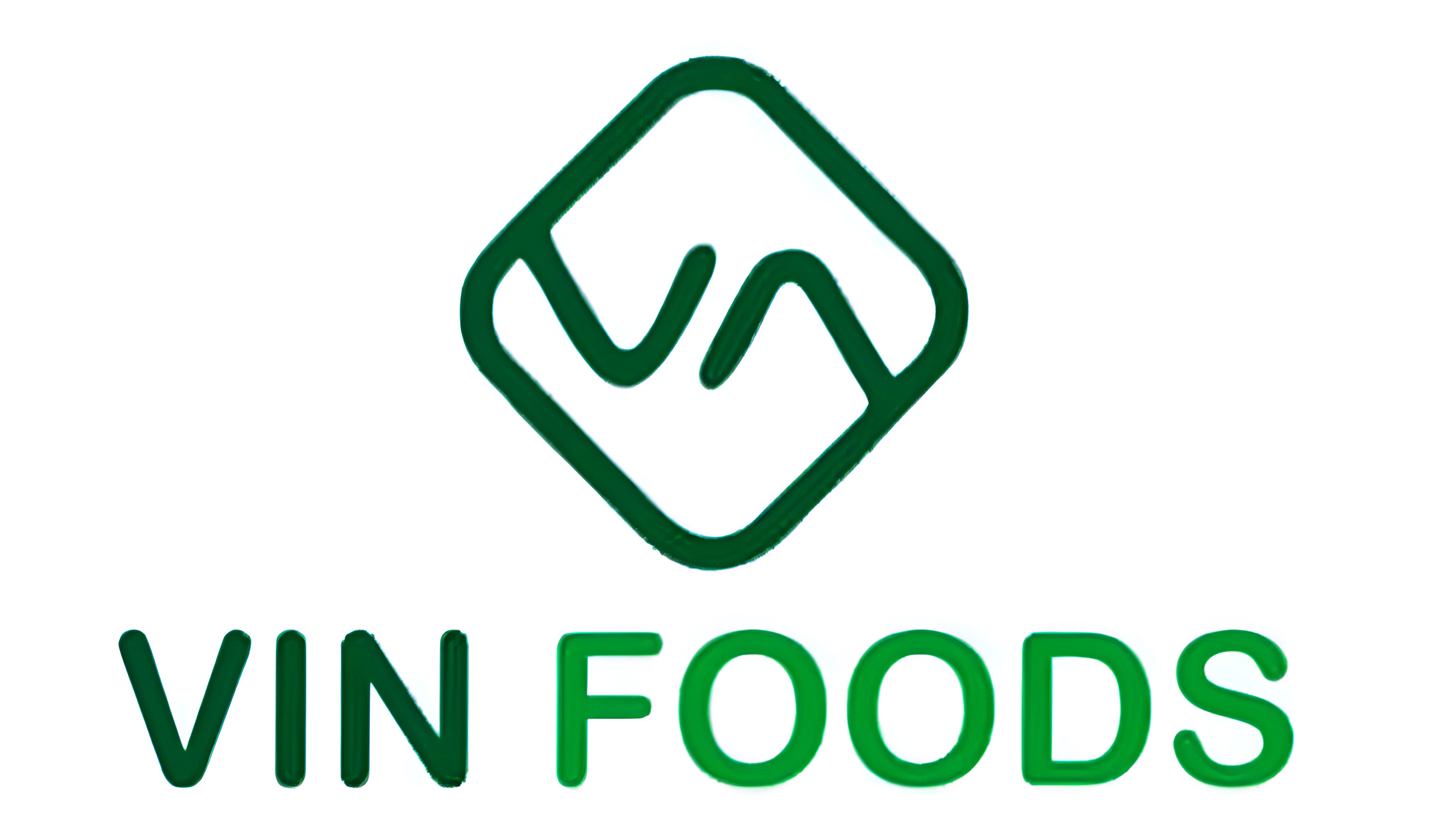 VIN Foods Logo